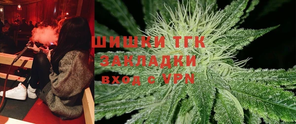гашик Михайловск