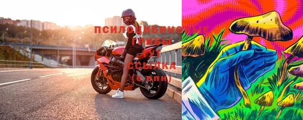 гашик Михайловск