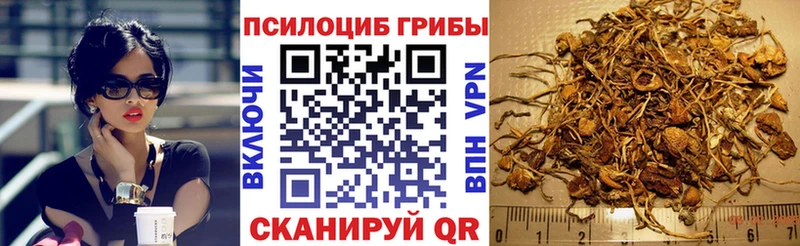 Псилоцибиновые грибы мухоморы  Купить закладки  Амурск 